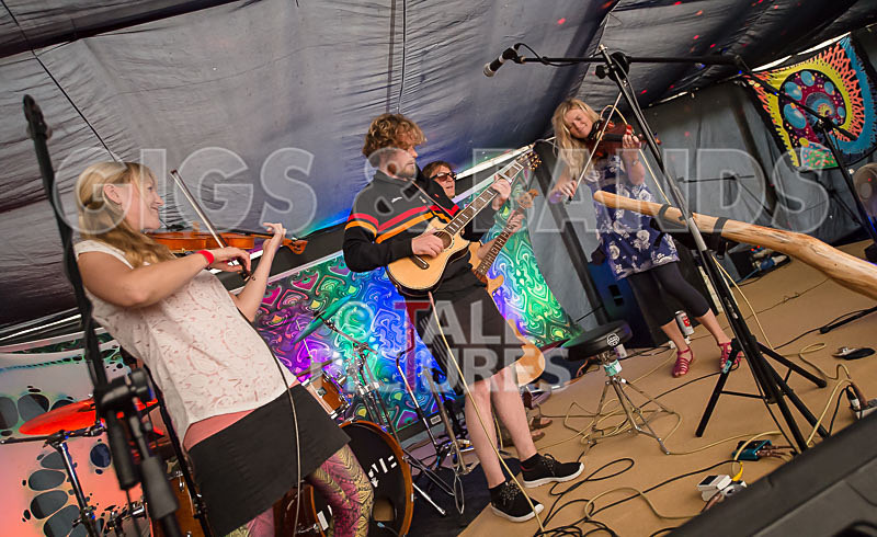 Buffalo Huddleston-233 - BUFFALO HUDDLESTON