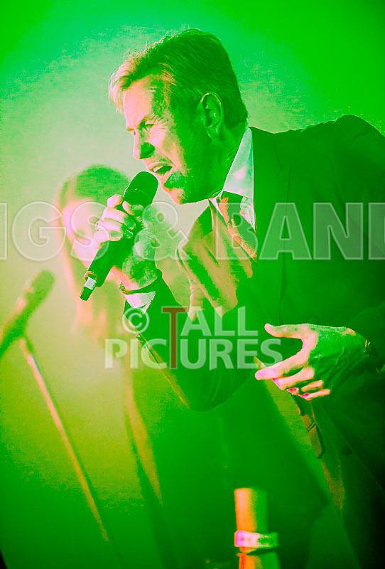 King Rat the Soul Cats-394 - KING RAT AND THE SOUL CATS