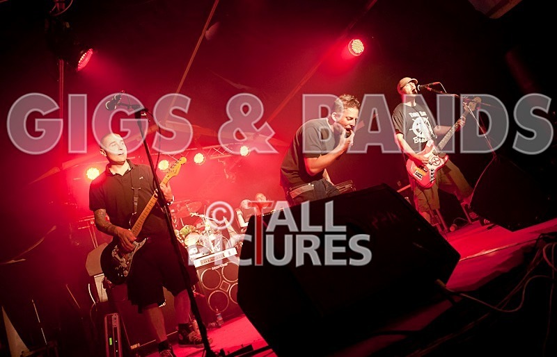 Spunge-56 - [spunge]