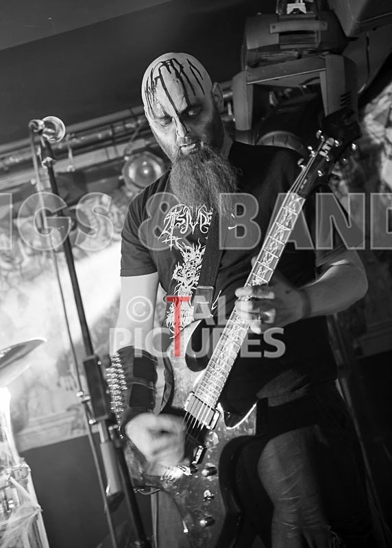 Darker Shores-80 - DARKER SHORES