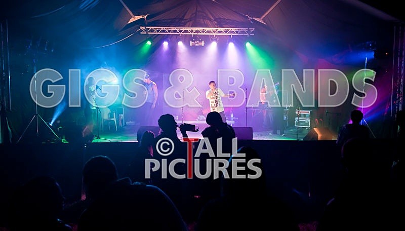 Asylum Seekas-12 - ASYLUM SEEKAS AT IVY CASTLE