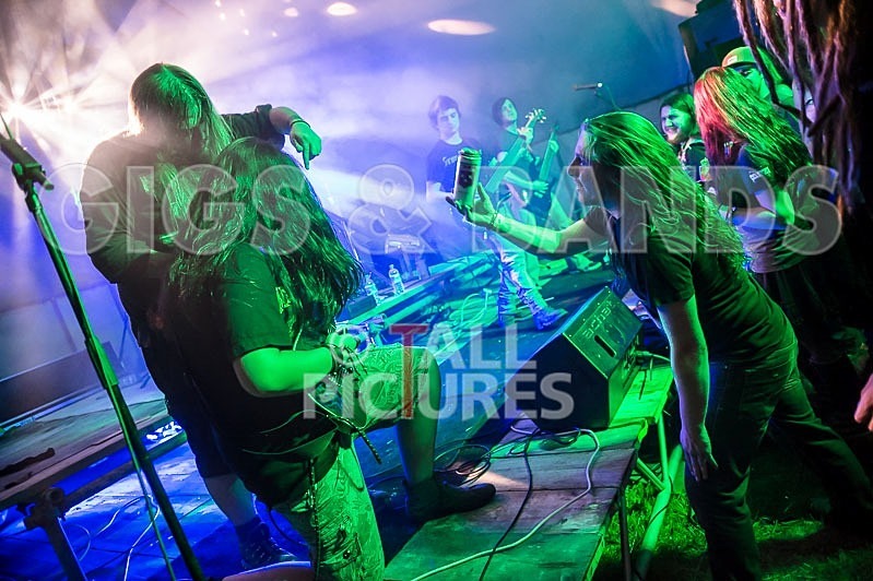 Stone Em All-76 - STONE EM ALL