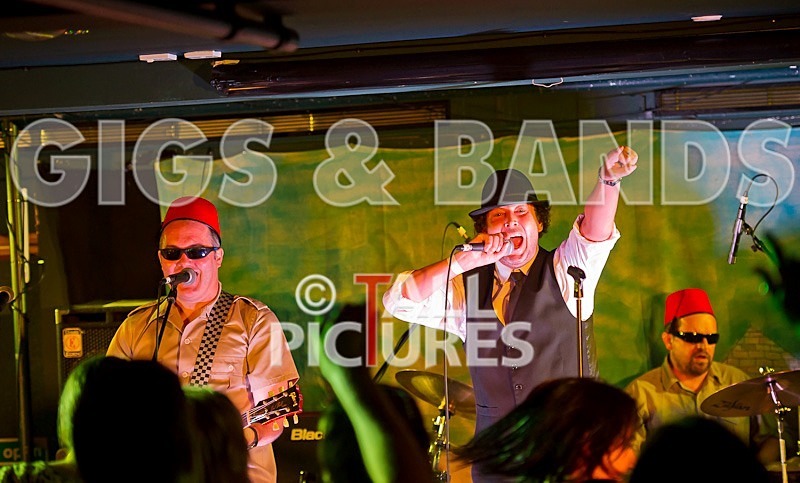 Sons of the Desert-28 - SONS OF THE DESERT