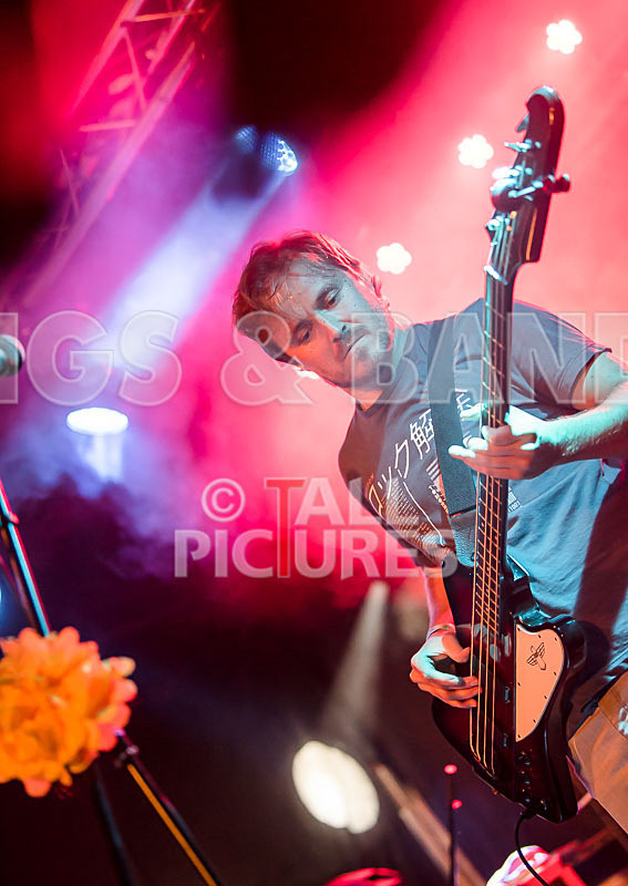 Near Bliss-72 - NEAR BLISS