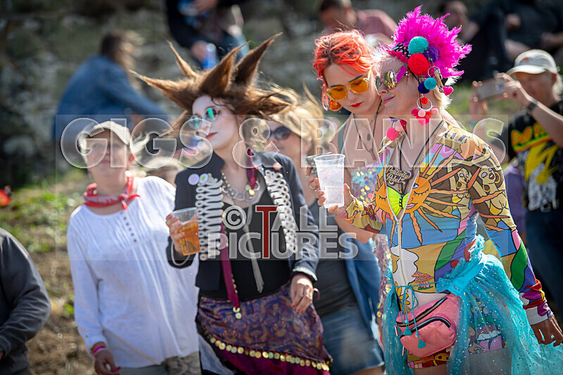 Vale Earth Fair 2022_The Scene-2 - VALE EARTH FAIR 2022_THE SCENE