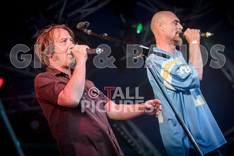 The Dynamics-30 - THE DYNAMICS