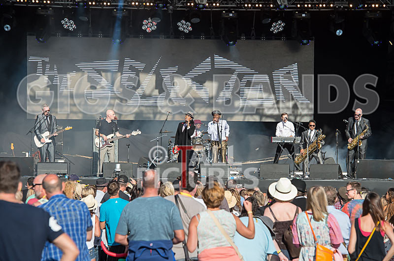 The Selecter-76 - THE SELECTER