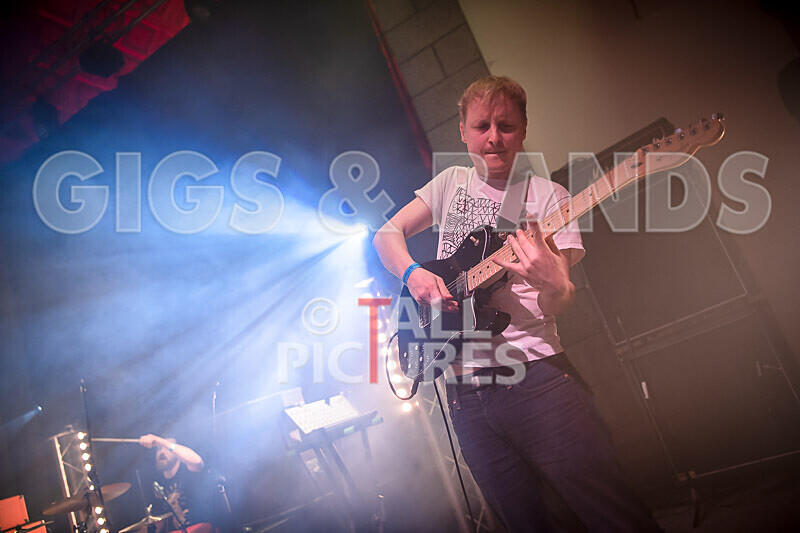 Pigsx7-79 - PIGS PIGS PIGS PIGS PIGS PIGS PIGS