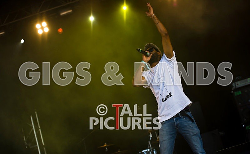 Professor Green-3 - PROFESSOR GREEN