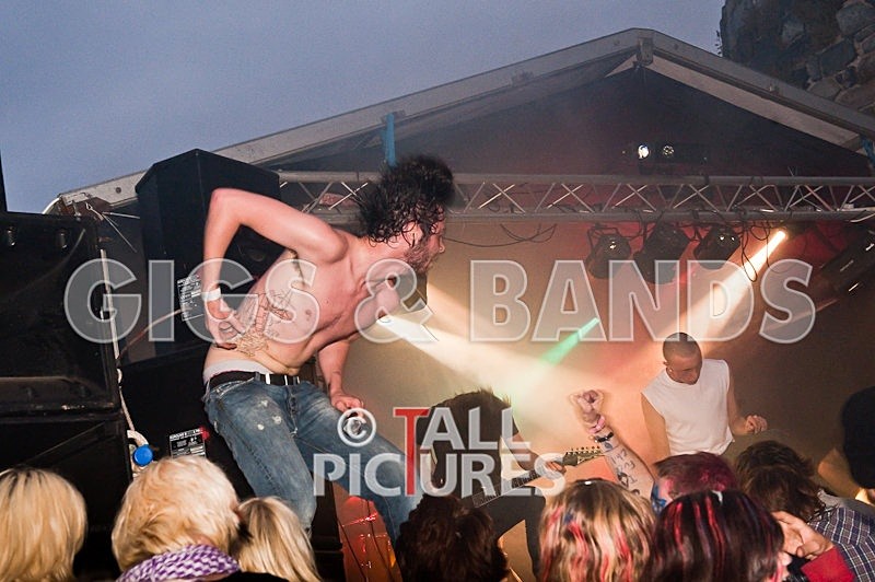 Elmer Henley-107 - VALE EARTH FAIR 2009