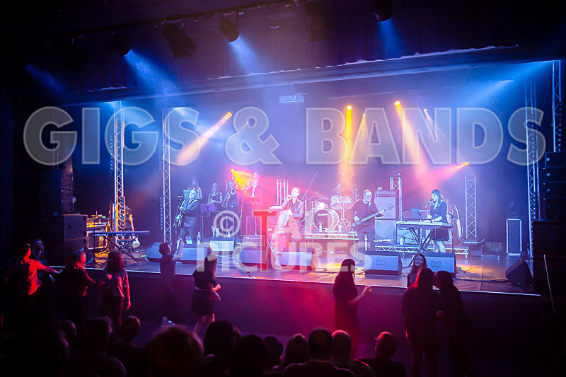 Harry Dean Junior and the New Breed-35 - HARRY DEAN JUNIOR AND THE NEW BREED