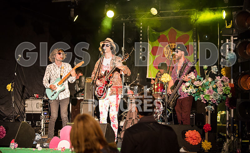 Surfin Birds-8 - SURFIN' BIRDS