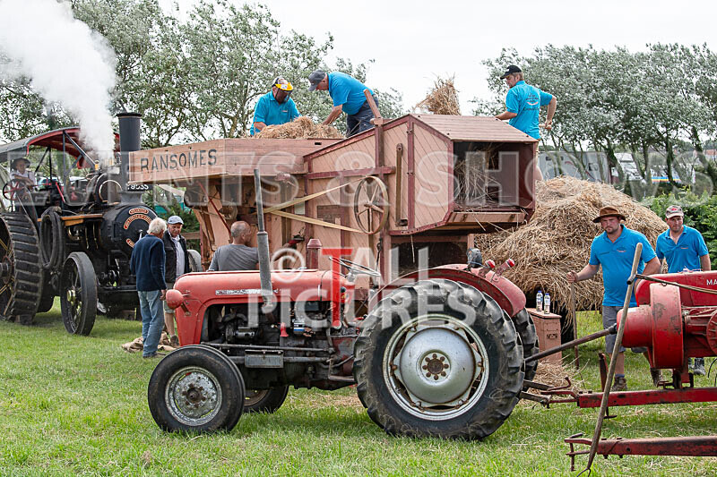 Guernsey Agricultural Show 2021-34 - GUERNSEY AGRICULTURAL SHOW 2021