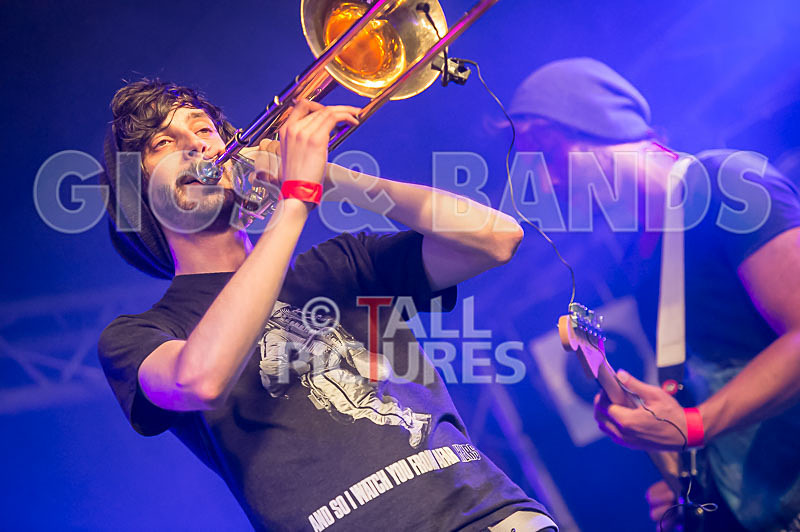 Pirate Party Brigade-23 - PIRATE PARTY BRIGADE