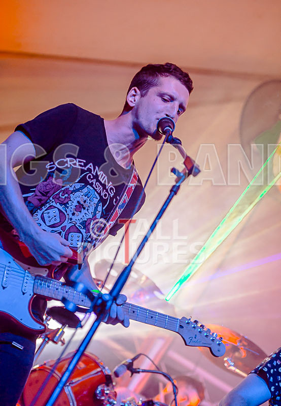 Subversion-31 - SUBVERSION