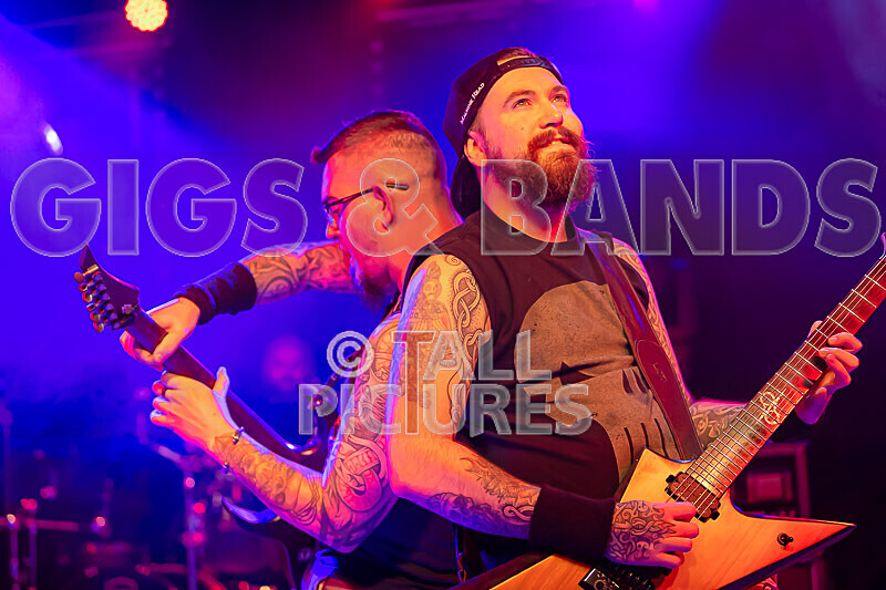 Demise of Sanity-241 - DEMISE OF SANITY