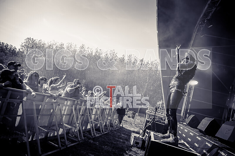 Fade 2 Grey-497 - FADE 2 GREY