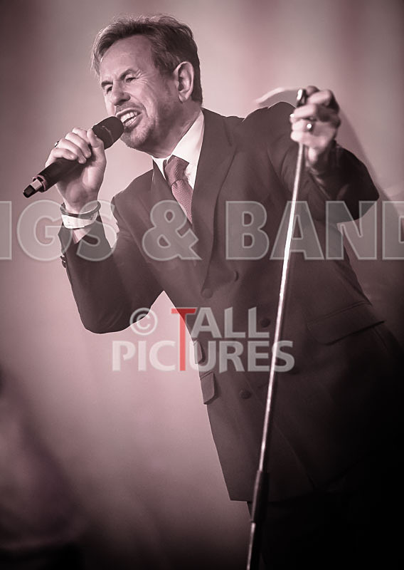 King Rat  the Soul Cats-347 - KING RAT AND THE SOUL CATS