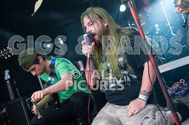 Stone Em All-20 - STONE EM ALL