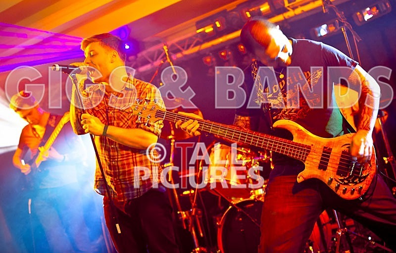 Destria-133 - DESTRIA