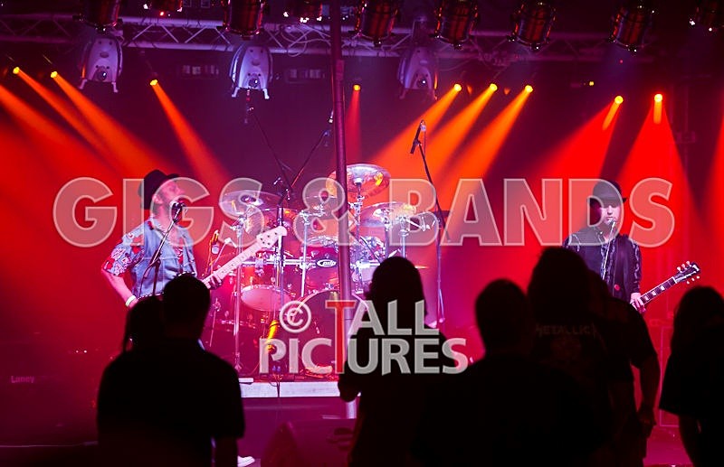 Peppered Ant Legs-58 - PEPPERED ANT LEGS