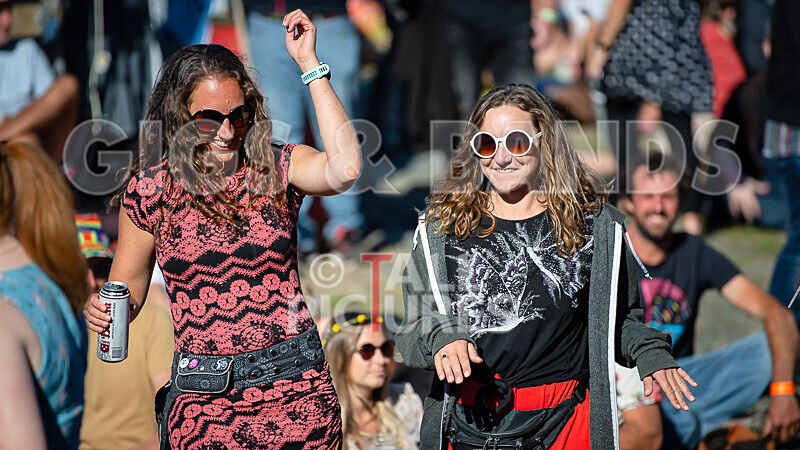 Vale Earth Fair 2020_THE SCENE-25 - VALE EARTH FAIR 2020_THE SCENE