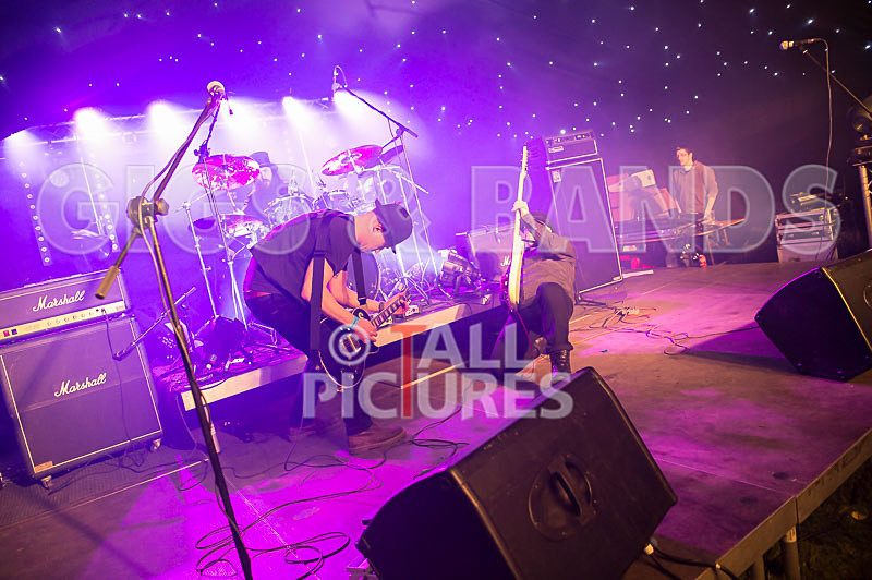 Peppered Ant Legs-186 - PEPPERED ANT LEGS