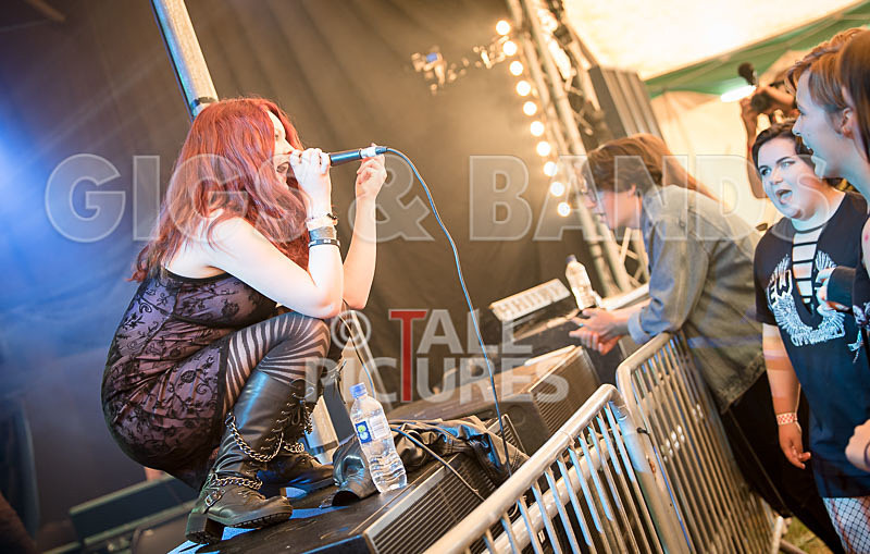 The Violet Diversion-10 - THE VIOLET DIVERSION