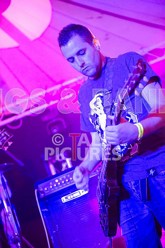 Subversion-40 - SUBVERSION