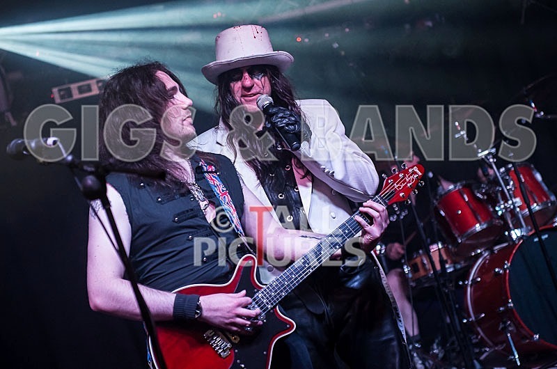 Gallus Cooper-76 - GALLUS COOPER