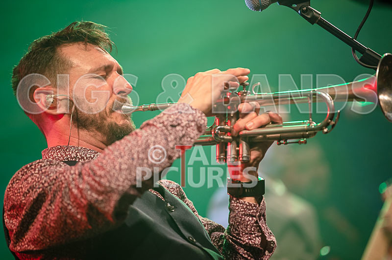 The Baghdaddies-24 - THE BAGHDADDIES