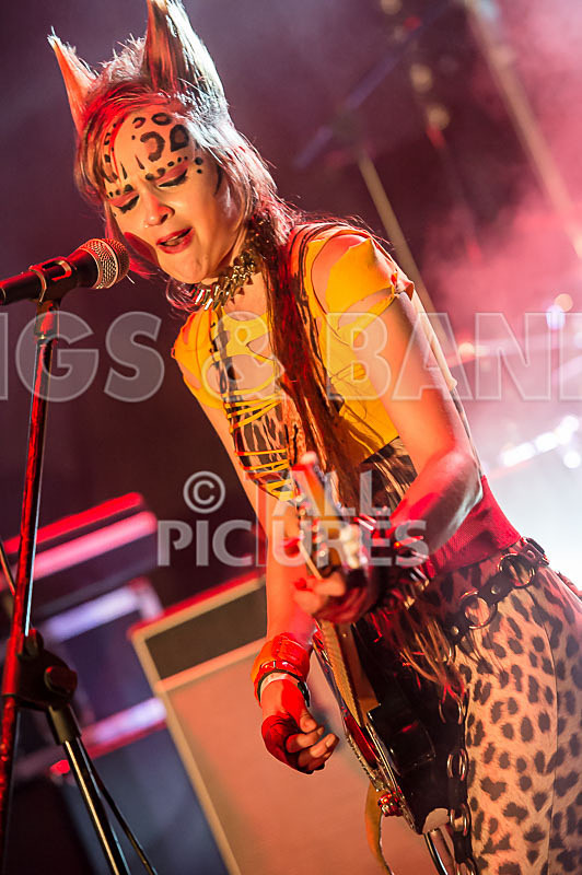 Pussycat and the Dirty Johnsons-23 - PUSSYCAT AND THE DIRTY JOHNSONS