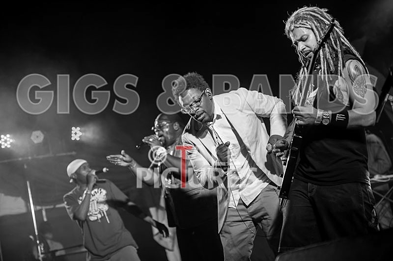 Roots Manuva-49 - ROOTS MANUVA