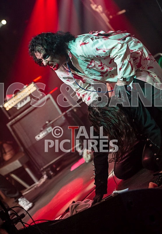 Gallus Cooper-33 - GALLUS COOPER