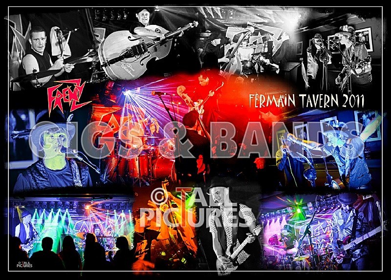 Frenzy at the Fermain Tavern_Montage - PHOTO MONTAGES