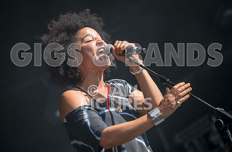 Stereo MCs-13 - STEREO MC's