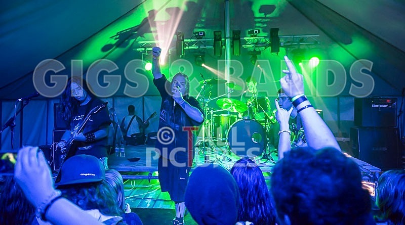 Stone Em All-66 - STONE EM ALL