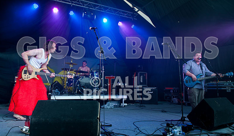 Toupe-19 - TOUPE at IVY CASTLE FAIR