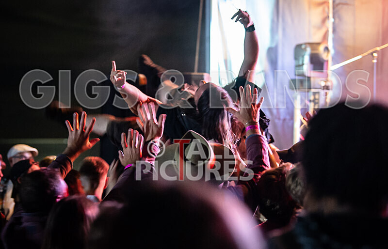 Vale Earth Fair 2020_THE SCENE-41 - VALE EARTH FAIR 2020_THE SCENE