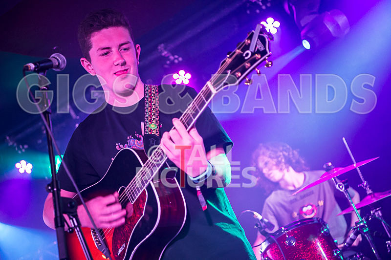 Purple Paradox-8 - PURPLE PARADOX