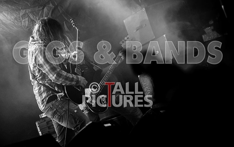 Viking Skull-19 - VIKING SKULL