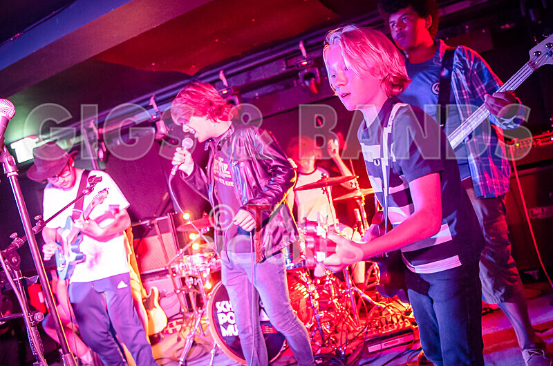 Australian Death Roach-26 - AUSTRALIAN DEATH ROACH