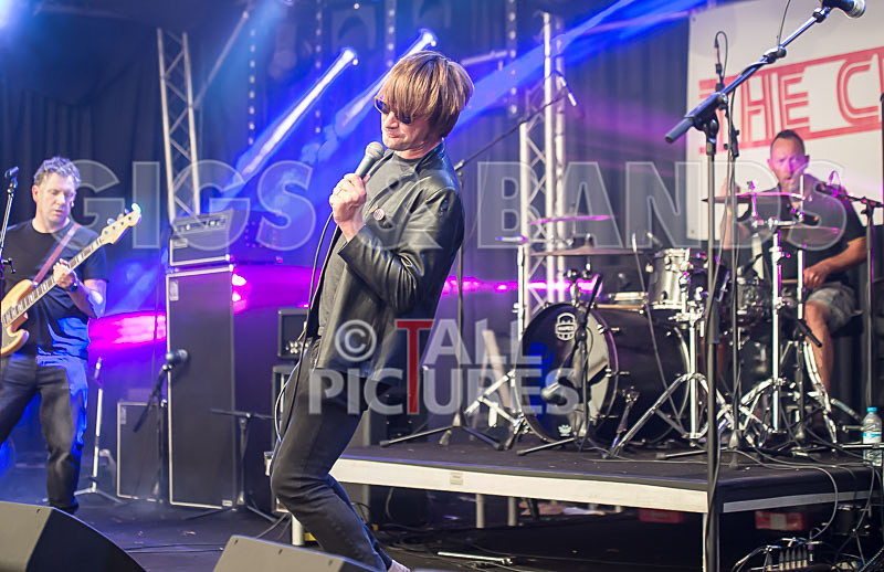 The Cryptics-73 - THE CRYPTICS