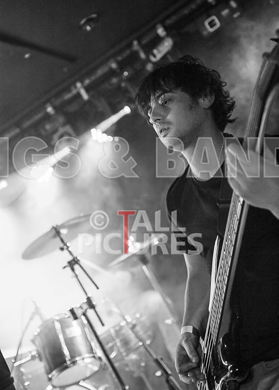 Stone Em All-190 - STONE EM ALL