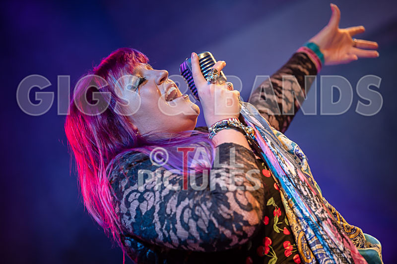 Static Alice-790 - STATIC ALICE