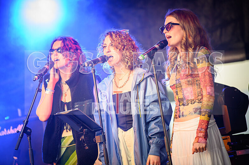 Elysium-315 - ELYSIUM