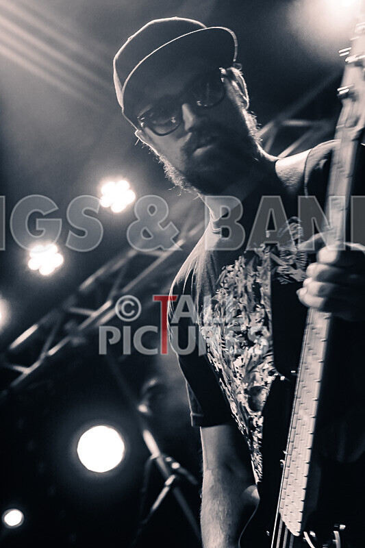 To the Woods-452 - TO THE WOODS