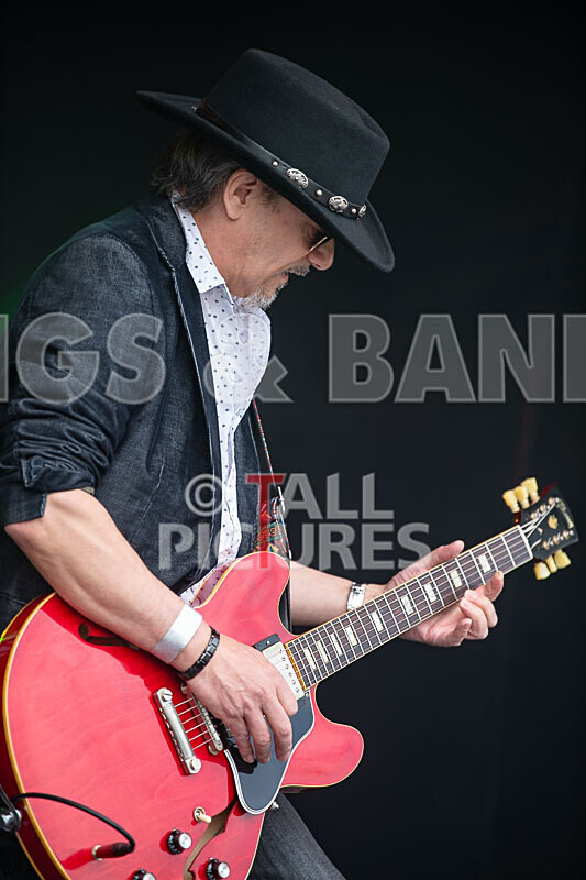 Element 6-31 - ELEMENT 6