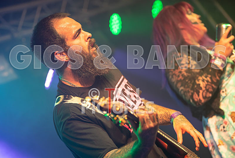 Static Alice-766 - STATIC ALICE