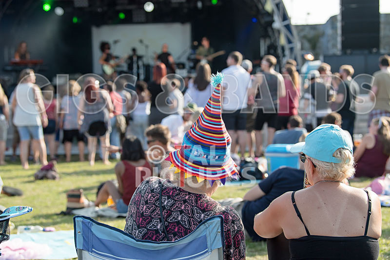 Vale Earth Fair 2017_SCENE-170 - VALE EARTH FAIR 2017_THE SCENE